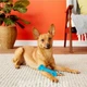 Іграшка для цуценят та малих собак Petstages Mini Orka Bone (12см) - зображення 3