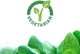 Бустер тестостерона Life Extension PalmettoGuard 30 капсул (4384303560) - изображение 5
