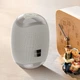 Колонка Bluetooth BOROFONE BR6 Miraculous Сріблястий - зображення 1