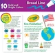 Набір маркерів Crayola Broad Line Markers, Bold & Bright Colors 10 штук (58-7725) - зображення 5