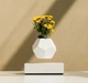 Левитирующий парящий вазон Flyte Planter Горшок в воздухе (Белая база) - изображение 1