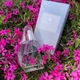 Парфумна вода AVON Perceive для Неї, 50 мл - зображення 1