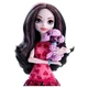 Кукла Монстер Хай Дракулаура с собачкой (Monster High Ghoul's Beast Pet Draculaura Doll) - изображение 3