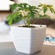Горщик для квітів Form-Plastic Sahara міні Квадро-23 7,5 л антрацит (3650-014) - зображення 5