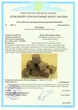Подарунковий Набір Камені Для Віскі в Дерев'яному Пеналі + 2 Склянки Bohemia Diamond (230 мл) + камені для віскі зі стеатиту 8 шт + щипці + мішечок для зберігання - зображення 6