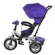 Велосипед триколісний BEST TRIKE 5890/85-975 фіолетовий - зображення 2