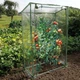 Теплиця для помідорів Shumee від Nature 100 x 50 x 150 см прозора 428492 - зображення 2