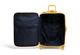 Чемодан 70 См Lipault PLUME SUNFLOWER 72x46x31 P91*26003 - изображение 5