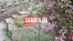 Щепа (тріска) декоративна кольорова GARDEN 50 л червона квадратна 130 - зображення 7
