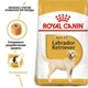 Сухой корм для собак Royal Canin Labrador Retriever Adult 13 кг взрослым собакам породы Лабрадор-ретривер в возрасте от 15 месяцев - изображение 2