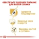 Сухой корм для собак ROYAL CANIN German Shepherd Adult 16 кг взрослым собакам породы Немецкая овчарка в возрасте от 15 месяцев - изображение 5
