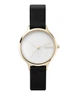 Женские кварцевые наручные часы Skagen (1703262) - зображення 1