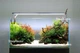 Акваріум "ZooСool White AquaScape" прямокутний (Прозорий силікон) 1200-400-500 (240л) 10мм - зображення 3