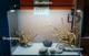 Акваріум "ZooСool White AquaScape" прямокутний (Прозорий силікон) 1200-400-500 (240л) 10мм - зображення 5
