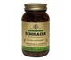 Ехінацея екстракт Echinacea Herb Solgar 100 капсул (599110) - зображення 1