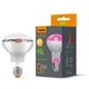 Фітолампа VIDEX Filament R80FF 09W E27 1200K - зображення 1