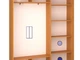 Шкаф купе Luxe Studio Классик-1 Тонированное зеркало с Пескоструем-5 2000x2000x450 двухдверный (69201) - изображение 3