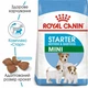 Сухой корм для собак Royal Canin Mini Starter 20 кг в период беременности и лактации, щенкам до 2 месяцев - изображение 1