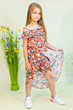 Комплект Cichlid 116 см (1385609631497) - изображение 1