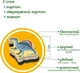 Набір магнітів Magdum "Великі Динозаври" ML4031-06 EN - зображення 4