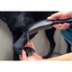 Ручний душ Hansgrohe DogShower 150 3Jet Petrol, синій (26640540) - изображение 3