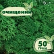 Очищенный стабилизированный мох ягель Nordic moss Зеленый травяной темный 50 грамм - изображение 1