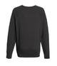 Свитшот лёгкий Fruit of the Loom M Светлый Графит (D0621380GLM) - изображение 2