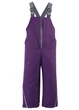 Теплий напівкомбінезон DaNa-kids B.TEX 104 см фіолетовий (9500100319) - зображення 1