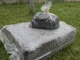 Грибной блок шампиньон двуспоровый Heirloom королевского шампиньона + покровный грунт 23 кг - изображение 1