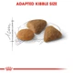 Сухий корм Royal Canin Exigent Savour для вибагливих котів від 1 року 10 кг (3182550721660) - зображення 2