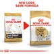 Сухий корм Royal Canin Jack Russel Terrier Adult для собак породи джек-рассел-тер'єр від 10 місяців 3 кг (3182550821421) - зображення 5
