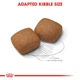 Сухой корм Royal Canin Giant Junior для щенков гигантских пород от 8 до 18-24 месяцев 15 кг (3182550707077) - изображение 2