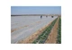 Агроволокно Agreen 23 (3,2х10) Белое 001706 - изображение 3