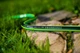 Шланг поливочный садовый Cellfast Green ATS2 5/8"15мм 25м - изображение 5