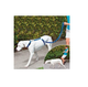 Нашийник для собак Instant Trainer Leash (n-600) - зображення 3