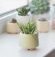 Керамический горшок для растений Mini Plant маленького размера 6,3х6,4см Трапеция Желтый - изображение 1