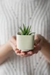 Керамический вазон для цветов Mini Plant маленького размера 6,4х6,5см Квадратный Желтый - изображение 1