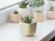Керамический вазон для цветов Mini Plant маленького размера 6,4х6,5см Квадратный Желтый - изображение 4