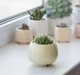 Керамический горшок для растений Mini Plant маленького размера 6,2х6,3см Круглый Желтый - изображение 1
