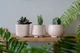Керамический горшок для суккулентов Mini Plant маленького размера 6,3х6,4см Трапеция Розовый - изображение 3