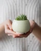 Керамический горшок для растений Mini Plant маленького размера 6,2х6,3см Круглый Желтый - изображение 3
