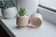 Керамический горшок для суккулентов Mini Plant маленького размера 6,3х6,4см Трапеция Розовый - изображение 4