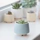 Керамический горшок для растений Mini Plant маленького размера 6,3х6,4см Трапеция Голубой - изображение 3