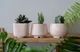 Керамический горшок для суккулентов Mini Plant маленького размера 6,2х6,3см Круглый Розовый - изображение 3