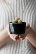 Керамический горшок для суккулентов Mini Plant маленького размера 6,4х6,5см Квадратный Черный - изображение 3