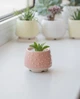 Керамический горшок для растений суккулентов Mini Plant размер XS 4,9х5,2см Розовый Bubble - изображение 1