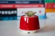 Керамический горшок для кактусов Mini Plant размер XS 4,9х5,2см Трапеция Красный - изображение 1