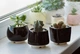 Керамический горшок для суккулентов Mini Plant маленького размера 6,3х6,4см Трапеция Черный - изображение 3