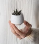 Керамический горшок для кактусов Mini Plant размер XS 4,9х5,2см Трапеция Белый Блаугранити - изображение 2