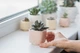 Керамический горшок для кактусов Mini Plant маленького размера 6,4х6,5см Квадратный Розовый - изображение 3